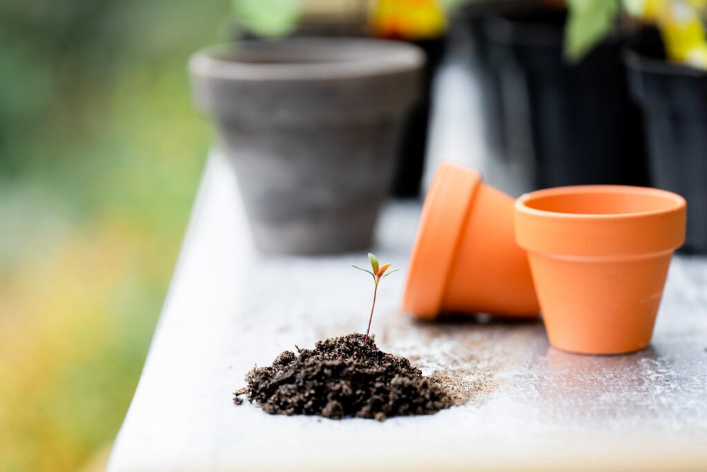 how-long-does-potting-soil-last
