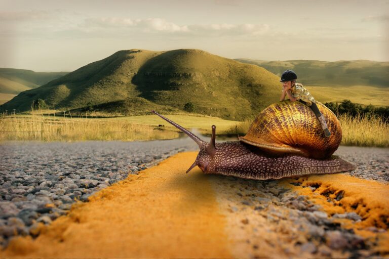 Why are Snails So Slow?