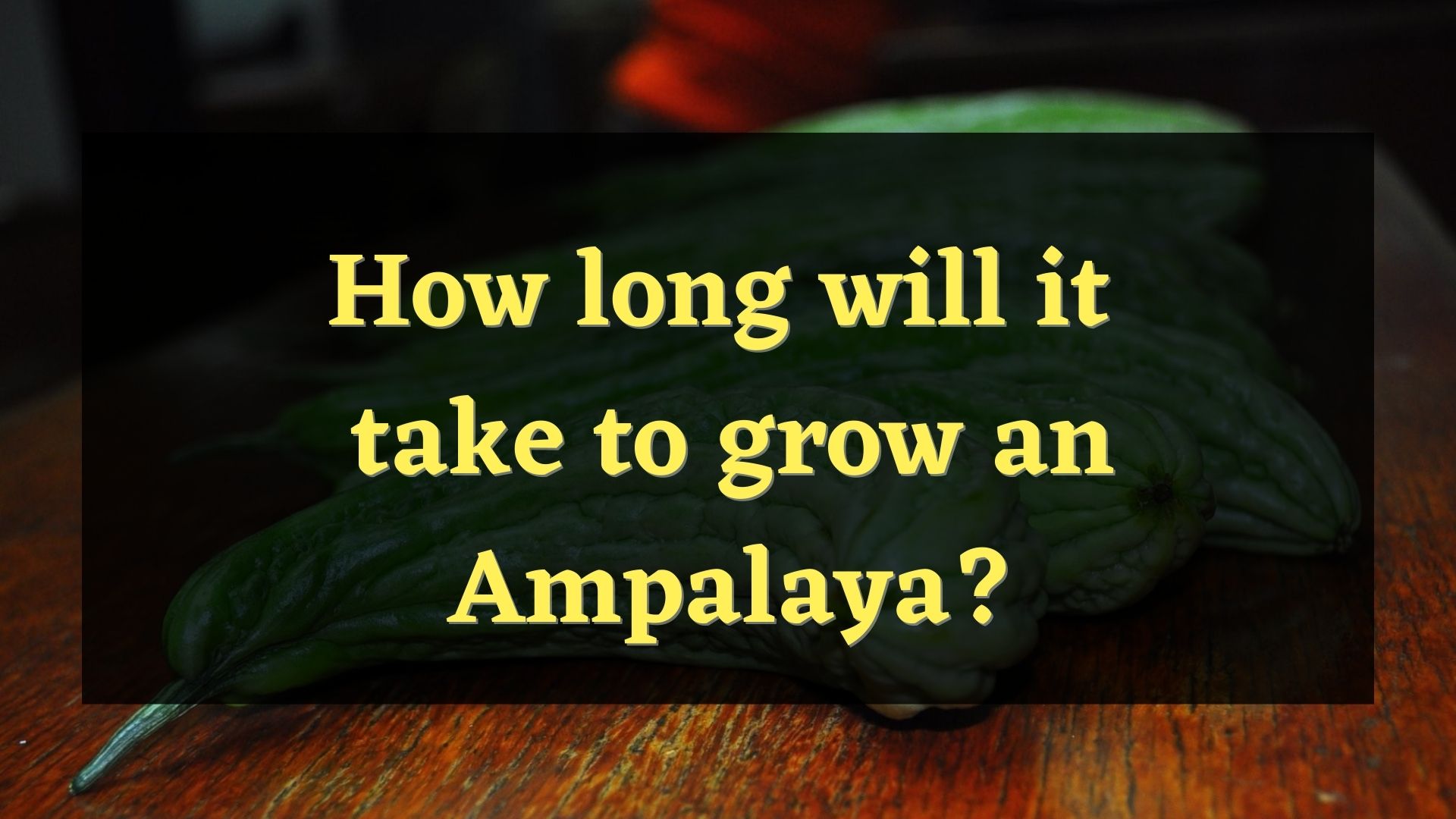 How Long Does it Take for an Ampalaya to Grow