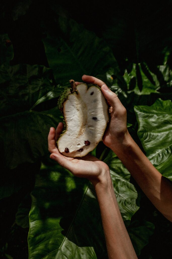 soursop fruit in half