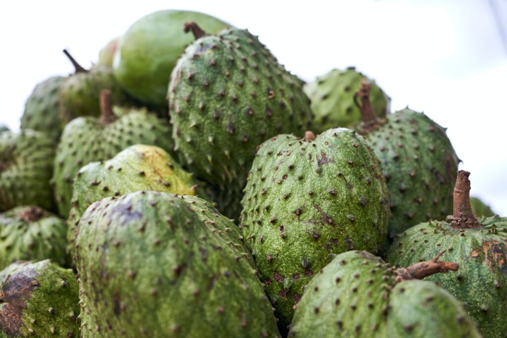 pile of soursop fruits